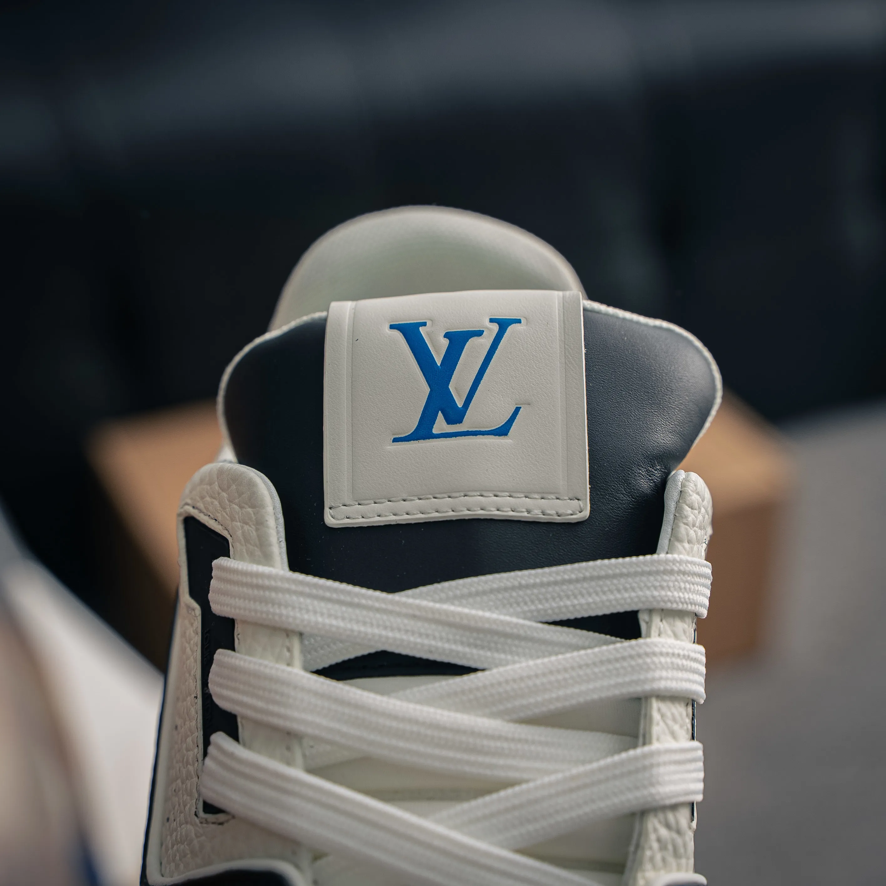 Louis Vuitton Trainer lv Sneakers Shoes Shoes